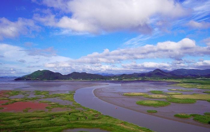우리나라 갯벌, 연간 승용차 11만 대가 배출하는 온실가스 흡수