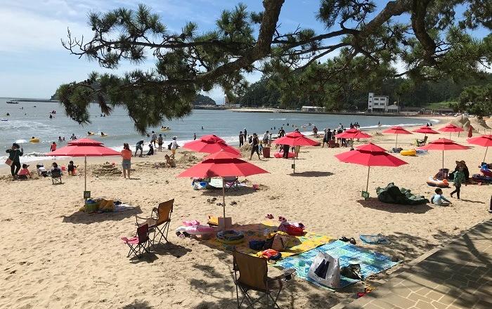 올 여름 피서는 안전한 전남 해수욕장에서...