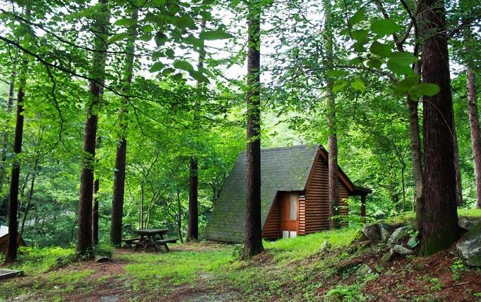 여름휴가! 시원한 에코체험 가족캠프 어떠세요?