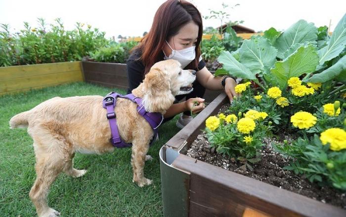 「민법」 일부개정법률안 입법예고 “동물은 물건이 아니다”