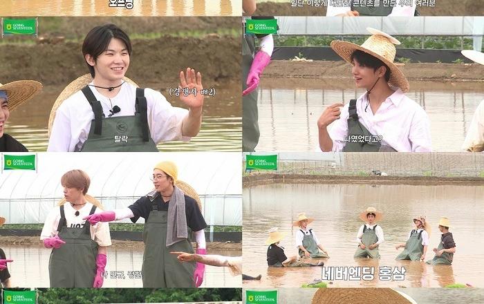  ‘고잉 세븐틴’ 세븐틴, ‘버’논에서 모내기 ‘진풍경’…‘웃음+힐링+먹방’ 완벽 삼박자