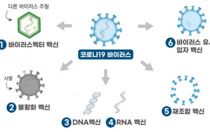 국내 개발 코로나19 백신 ‘IN-B009주’ 임상 1상 시험계획 승인