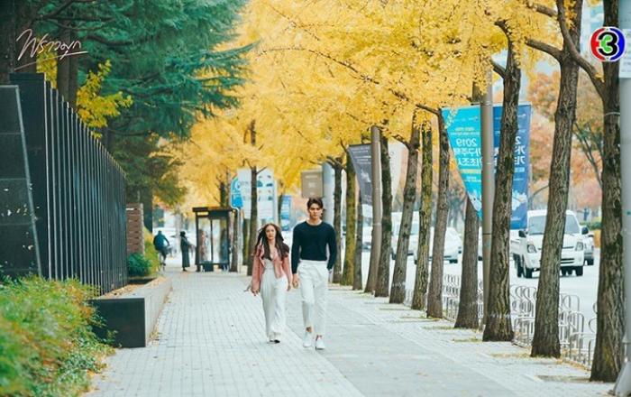 코로나前 발로 뛴 대구관광 마케팅, 태국 드라마 흥행으로 결실!