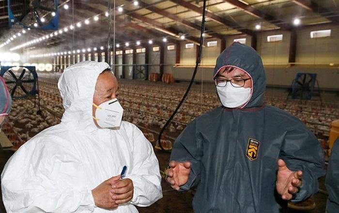 “축산분야 폭염 피해 막아라”…정부 총력 대응 나선다