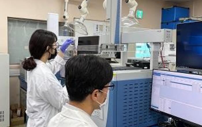 깻잎 등 다소비 농산물 11건 잔류농약 부적합. 도, 행정조치 내려