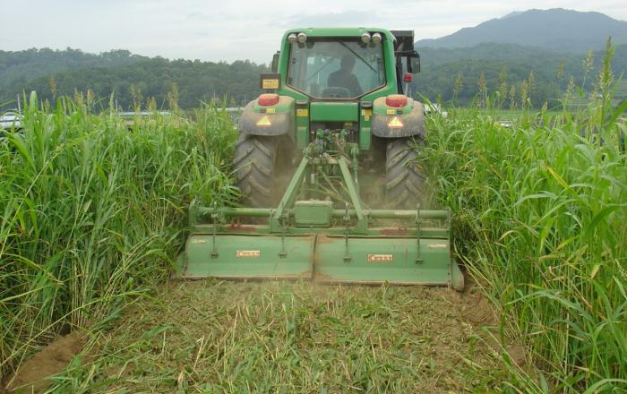 정부 예방·대응조치 강화... “과일·채소류 폭염 피해 막아라”