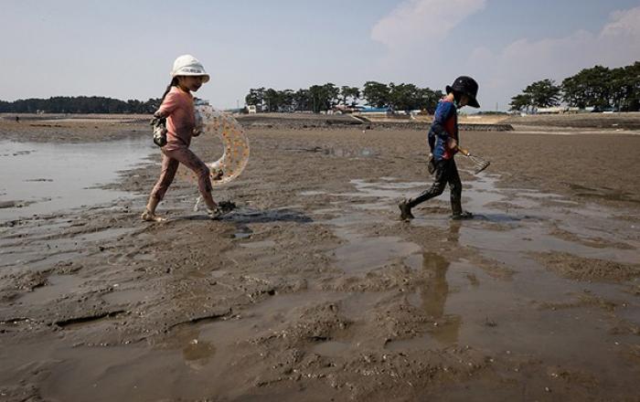해양교육 전문인력 양성... 고교에 ‘통합해양’ 선택과목 도입 추진