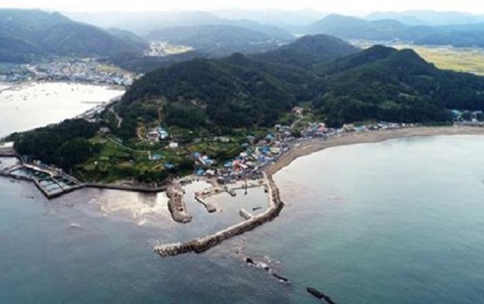내년 어촌뉴딜300 공모에 187곳 신청…경쟁률 3.7대 1