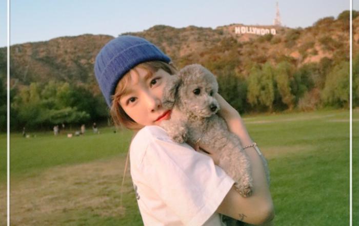 ‘펫셔니스타 탱구’ 태연과 화제의 반려견 ‘제로’가 함께하는 리얼리티