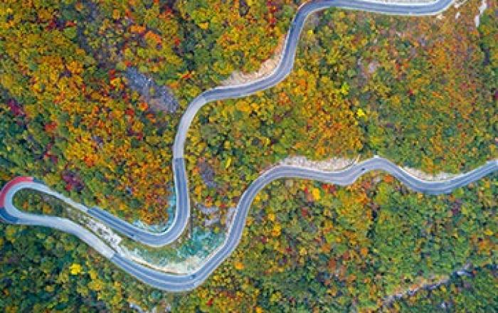 양양·고성·단양·무주, 지역 관광 매력도시로 발돋움