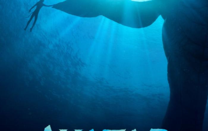 CJ 4DPLEX ‘아바타: 물의 길’로 역대 글로벌 박스오피스 1위 달성