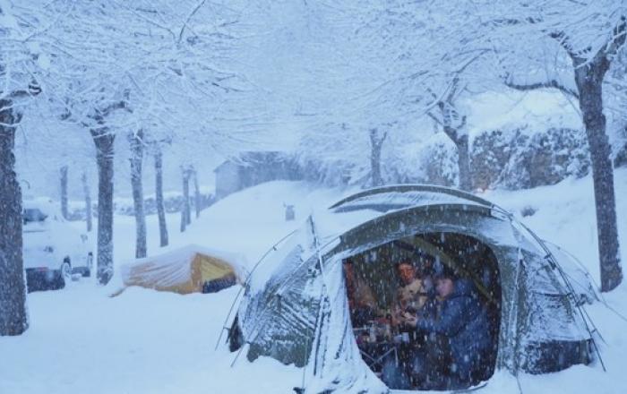 '텐트 밖은 유럽' 조진웅·최원영·박명훈·권율, 혹한의 설중 캠핑 스틸컷 공개!