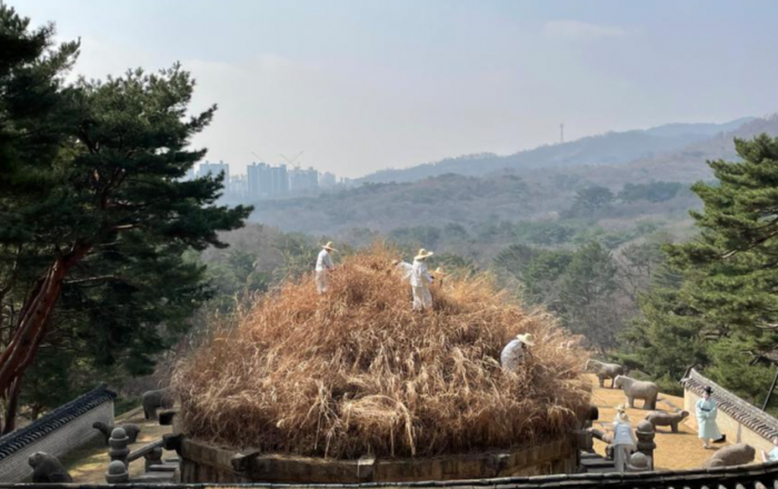 한식(寒食) 맞아 건원릉 억새 자르는 ‘청완 예초의(刈草儀)’ 거행
