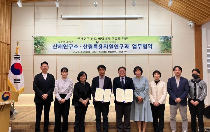 돈이 되는 임업, 산채로 새로운 소득원 창출