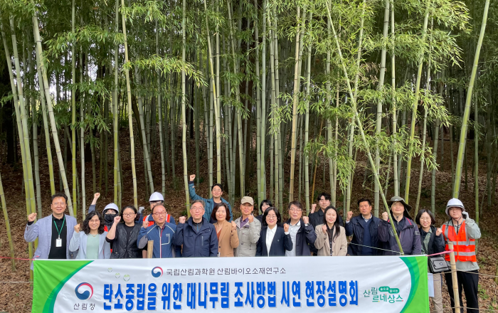 대나무 숲, 최고의 온실가스 흡수원이 될 준비 중!