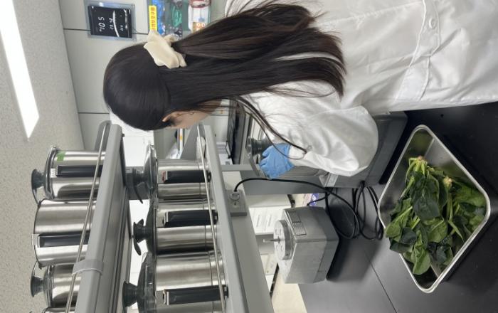 충북보건환경연구원, 유통 다소비 봄나물 중금속 안전성 검사 모두‘적합’