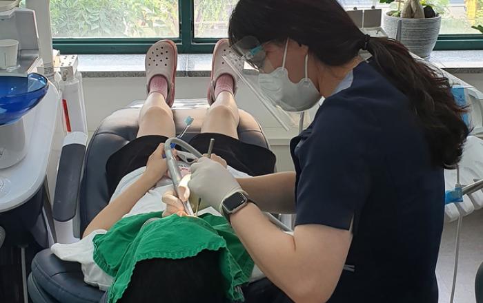 성남시 초교 4학년생 대상 ‘치과주치의’ 서비스 시행