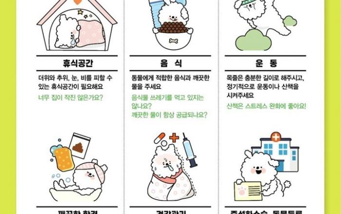 경기도, 실외사육견 중성화 수술 시행. 31개 시군 1,990마리 대상