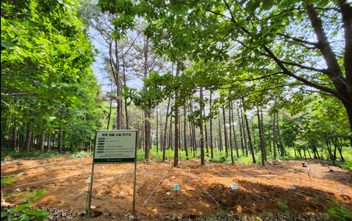 건강임산물 '복령' 대량생산 연구 본격 시동!
