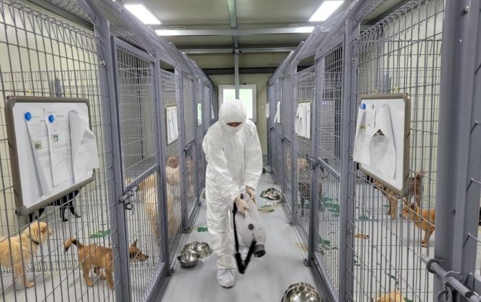 경기도, 도 전체 65개 동물보호소 대상 조류인플루엔자 일제검사 추진