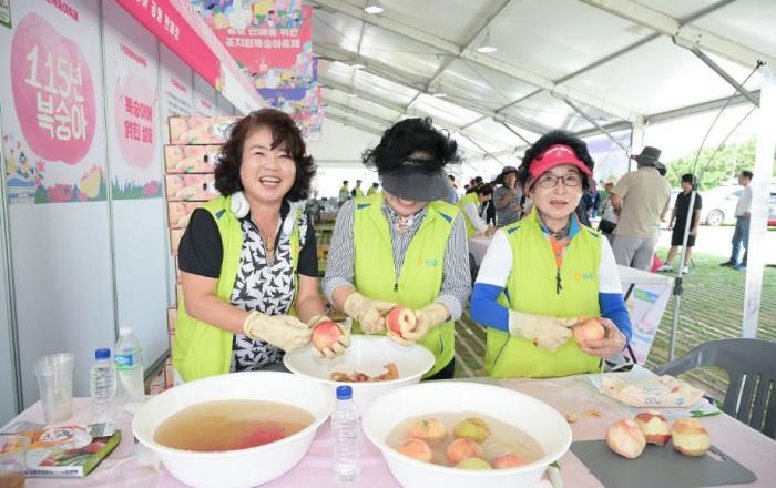 “어려운 농가 돕자”조치원복숭아축제 6만 방문