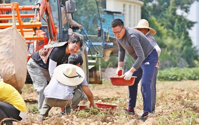 파이브가이즈 프라이즈 맛 비결은 '신선한 감자'... 전국 각지서 수확해 매장에서 바로 손질