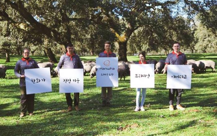 스페인 한화 농장서 직접 키운 순종 이베리코 출시... 갤러리아 '건강한 프리미엄 먹거리' 지속 강화