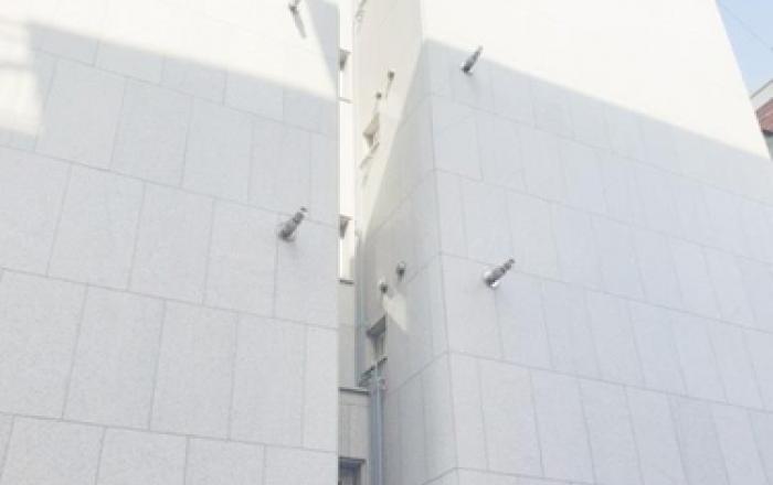 관악구, 수요자맞춤형 청년 임대주택 '청춘가옥' 공실 세대 입주자 모집