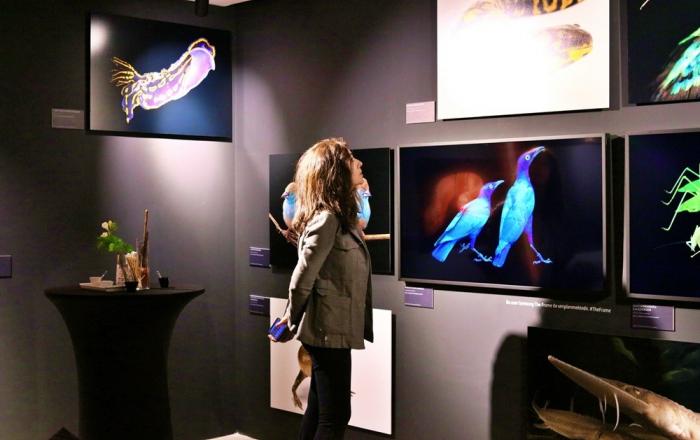 삼성 라이프스타일 TV, 터키서 내셔널지오그래픽 ‘멸종 위기 동물 사진전’ 참가