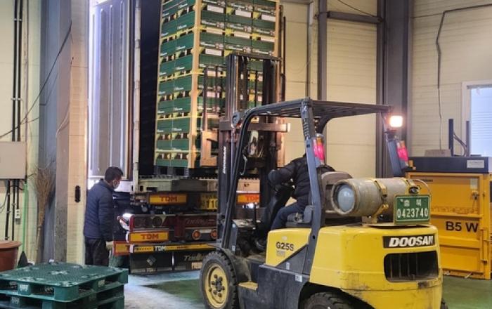 보은군, '보은 황토배' 대만 수출길 올라