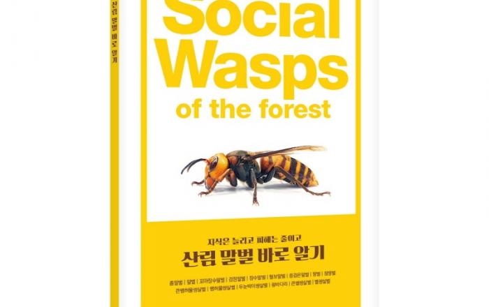 봄철 야외활동 시 말벌 주의 당부