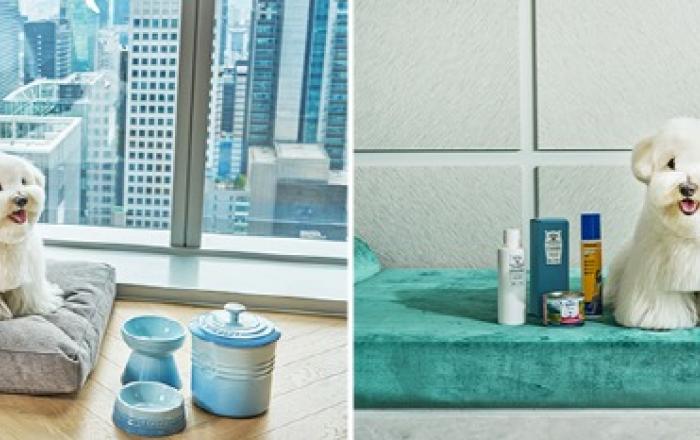 조선호텔앤리조트 조선 팰리스, 시그니처 펫 패키지 ‘나이트 아웃 위드 마이 펫 시즌4’ 출시