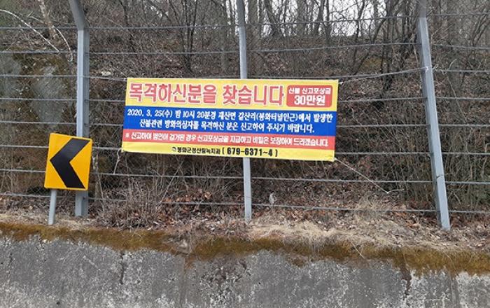 산림청, 5년간 산불가해자 1219명 입건…벌금 6억6400만원 부과