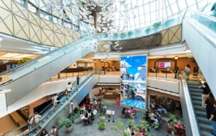 신세계百, 도심 한복판에서 미디어아트 전시 연다