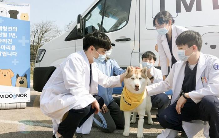 반려견 헌혈카 캠페인 시즌2 실시