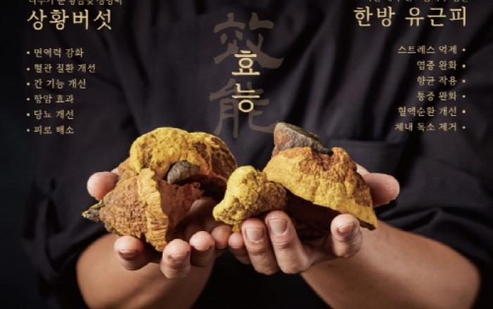 세종 명품어담, 점심특선 메뉴 출시… 코다리찜·고등어구이에 강황솥밥 더해 건강한 한 끼 제공
