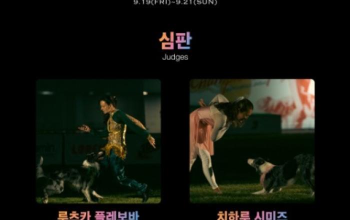 ‘제2회 DSD 월드 챔피언십’ 접수 성황… 도그 스포츠 댄스 챔피언 가린다