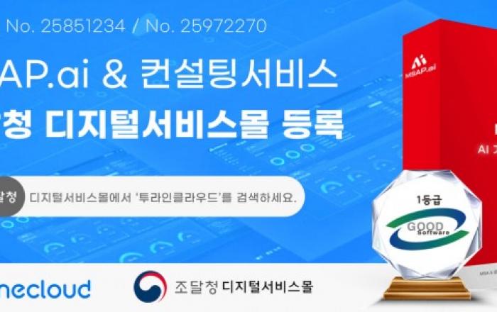 투라인클라우드, MSAP.ai·컨설팅서비스 조달청 디지털서비스몰 등록