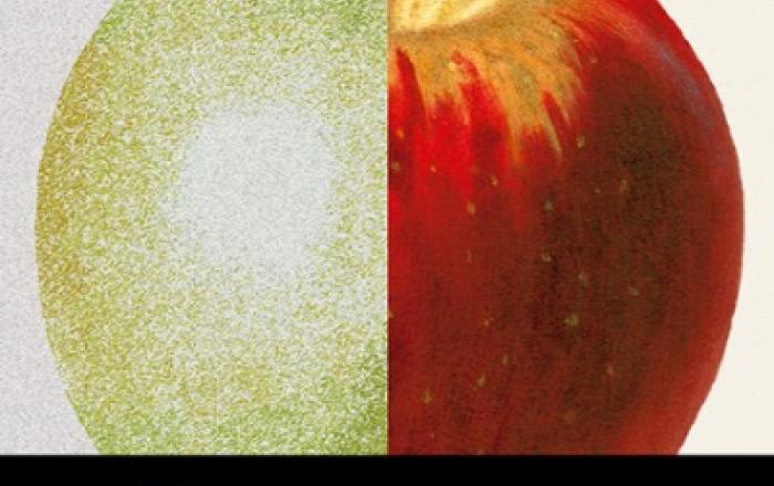 알라딘 독자 선정 2025 올해의 책, 성해나 ‘혼모노’