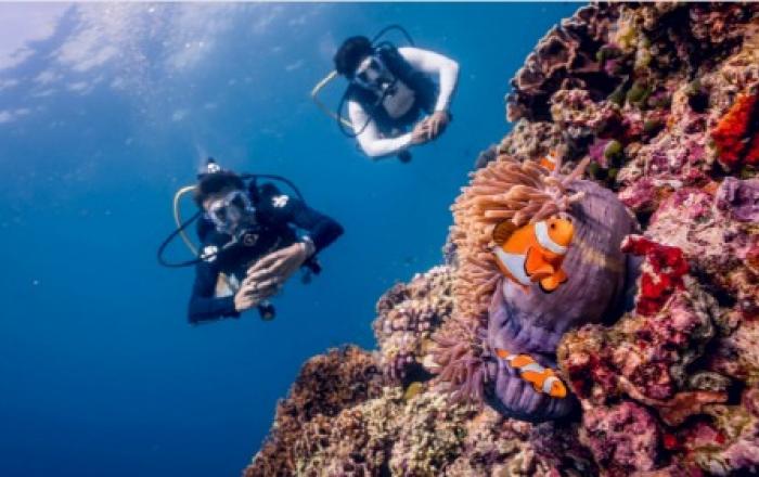 한국 소비자, 스쿠버다이빙 ‘잠재 수요’ 크다… 일본 대비 개방성도 뚜렷