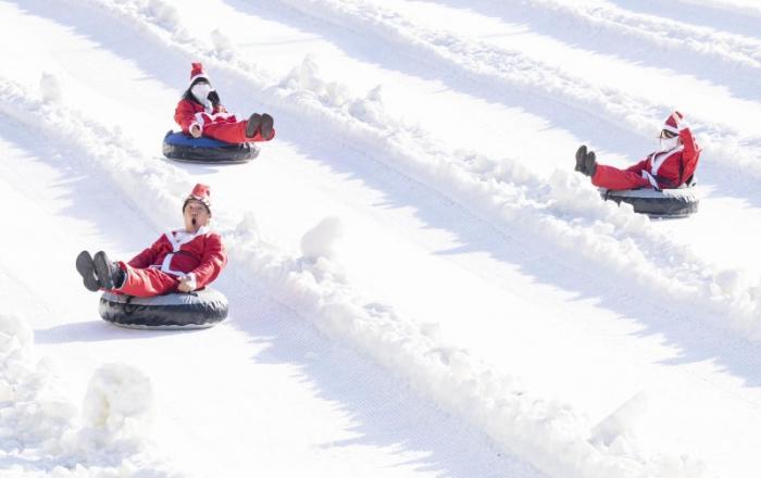 에버랜드, 산타복 입고 눈썰매 타러 가요!