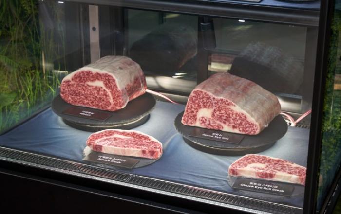 티센바이오팜, 세계 최초로 실제 고기와 동일한 수준의 세포 수 구현