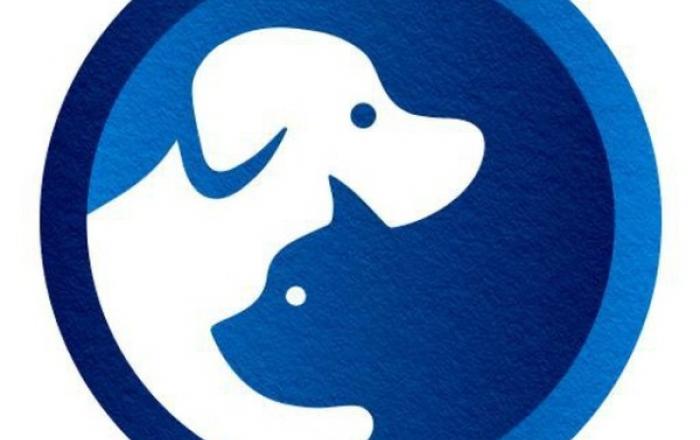 파우누스글로벌, 국내 가상자산 거래소 플라이빗에 FNS 상장 확정