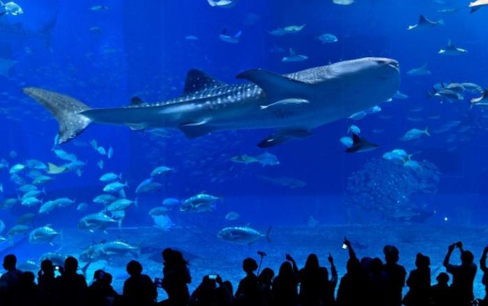 모두투어 ‘꿈꾸던 여유, 긴 여운 오키나와’ 기획전 출시