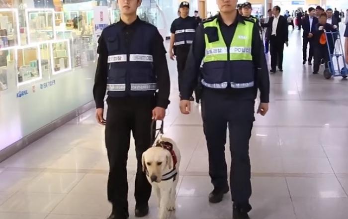 국가 위해 헌신한 ‘철도경찰탐지견’도 동물실험 못한다