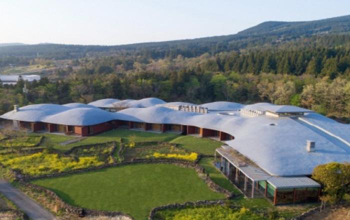 제주 포도호텔 ‘벚꽃 막걸리’ 품은 봄 시즌 한정 패키지 출시