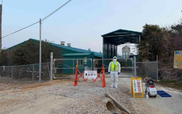 함평 양돈농장서 ASF 발생…전남도, 긴급 방역 및 이동중지 명령