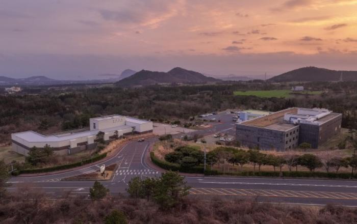 유채꽃부터 올레길까지… 제주 서쪽 봄 여행 추천 숙소 ‘제주 루체빌’