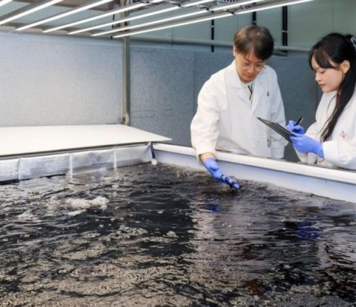 CJ제일제당, 충남 천안에 '육상양식 김' 상업화 시설 착공…사계절 생산 시대 연다