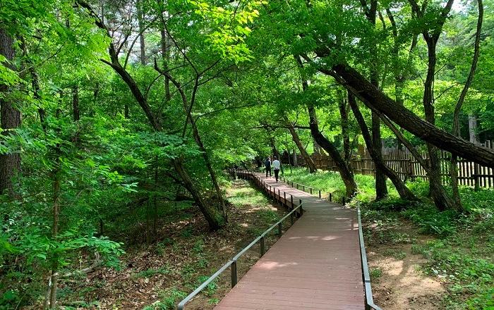 ‘유네스코 국립수목원길’ ‥ 광릉숲 둘레길 명칭 공모전 ‘최우수’ 영예